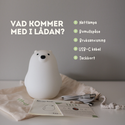 Der Bär schläft
